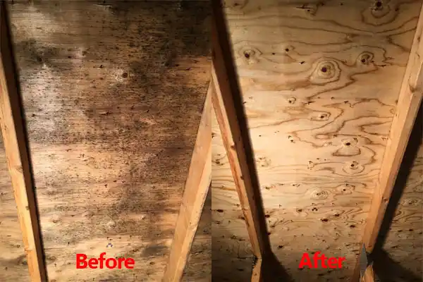 water damage restoration service Maple Rapids
